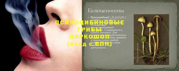 стафф Верхний Тагил