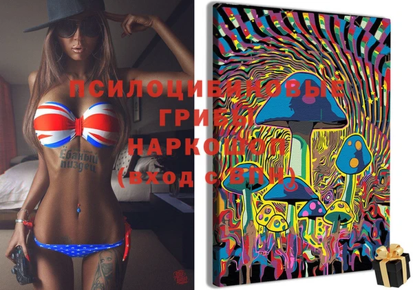 стафф Верхний Тагил