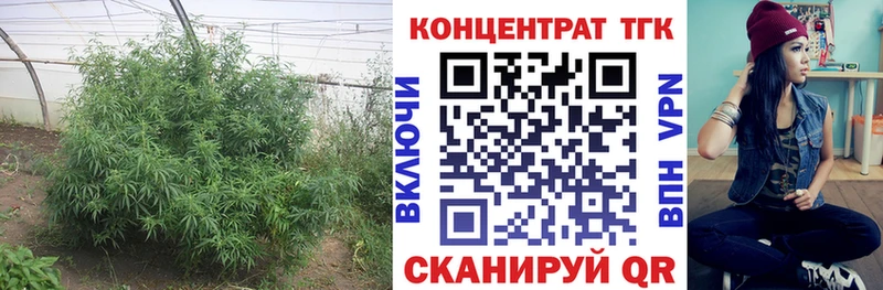 Дистиллят ТГК концентрат  OMG вход  Екатеринбург  цены  