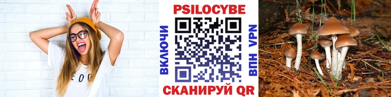Псилоцибиновые грибы Cubensis  Екатеринбург 